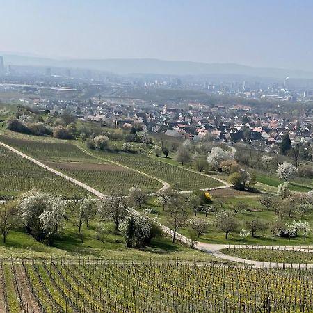 Landgasthof Rebstock Weil Am Rhein / Basel Экстерьер фото