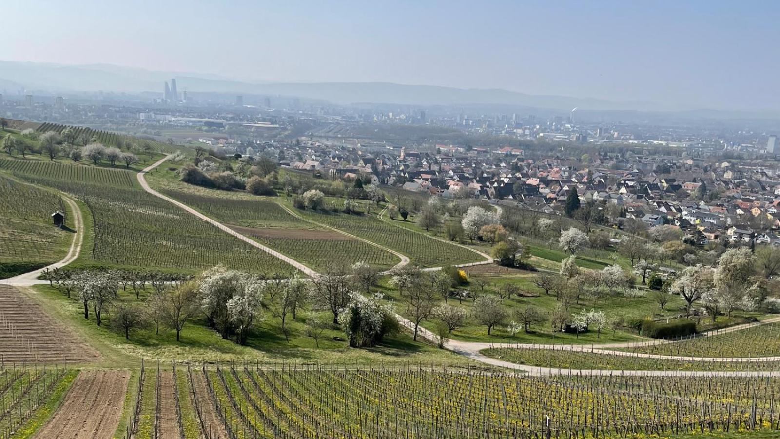Landgasthof Rebstock Weil Am Rhein / Basel Экстерьер фото